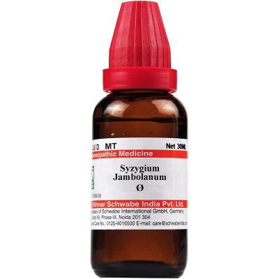 Dr Willmar Schwabe India Syzygium Jamb  Mother Tincture Q