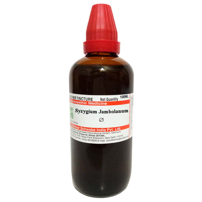 Dr Willmar Schwabe India Syzygium Jamb  Mother Tincture Q